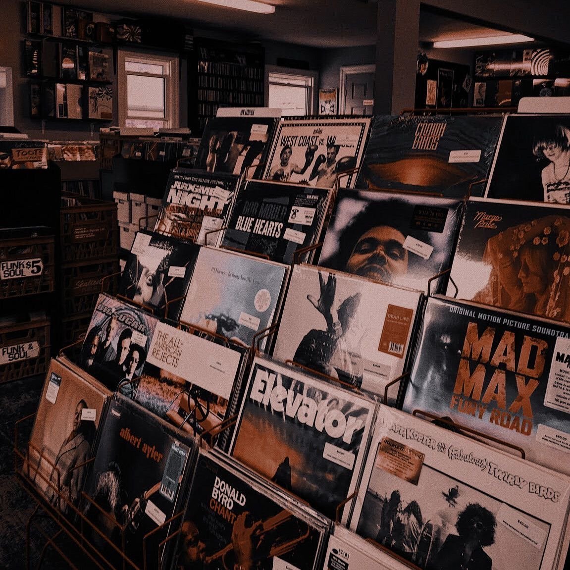Record shop shelves